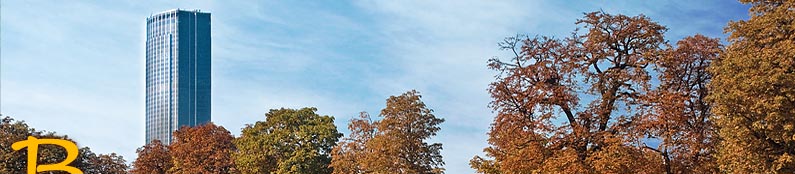 Tour montparnasse depuis le Jardin du Luxembourg